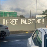 Brittany Stevenson MD