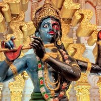 Reciter / Writer/ Event Presenter Rinku Roy (RRR)