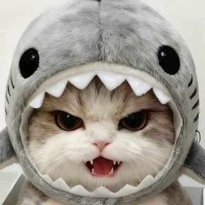 ˚ 𝐭𝐡𝐞.𝐥𝐢𝐧𝐠𝐥𝐨𝐦 𐙚₊