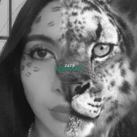 vas happenin KONNAKOL? 🐆🌪️🇲🇽