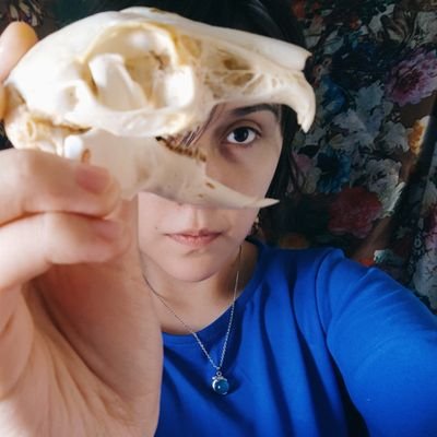 •𝗕𝗼𝘀𝗰𝟬🧀