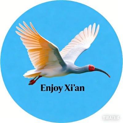 Enjoy Xi'an