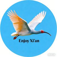 Enjoy Xi'an