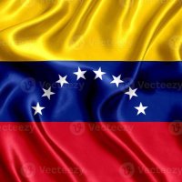 Ing. Diana Escalante