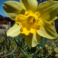 生活費は全部副収入で稼ぐ