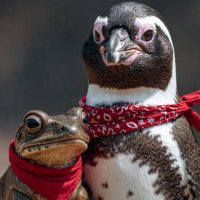 biodiversidad de chile aguante !! 🌳💪🏻 🍉