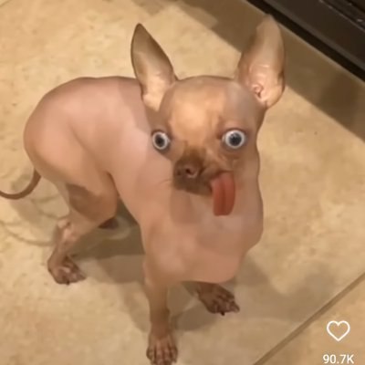 Horror & Laughs 🤪