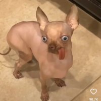 Horror & Laughs 🤪