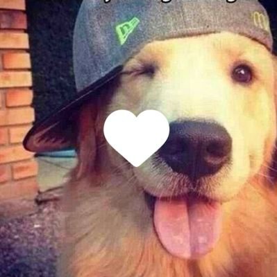 Sever 𓋹 🇪🇬سڤِر