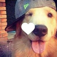 Sever 𓋹 🇪🇬سڤِر