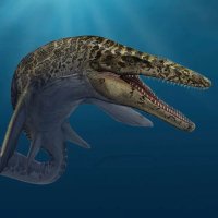 ꩜ ☆꒷꒦ဗ𝔸𝕃𝕦𝕞𝕚𝕟𝕚𝕦𝕞ဗ꒦꒷☆ ꩜