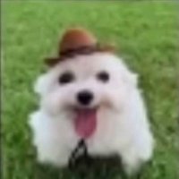 jc🥂🐉🍴🇵🇸