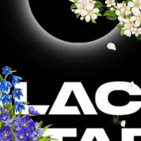 Блекстар 24 Москва