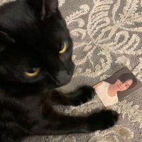 Natt 🐈‍⬛🔸️| Arirang