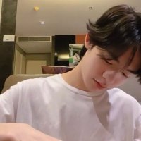 pip meaw ^. .^₎⟆