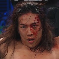 ☆⨻𝔉𝔯𝔢𝔡𝔡𝔦𝔢⨻☆