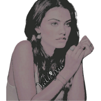 𝐋𝐈𝐓𝐓𝐋𝐄 𝐖𝐎𝐋𝐅 ☾