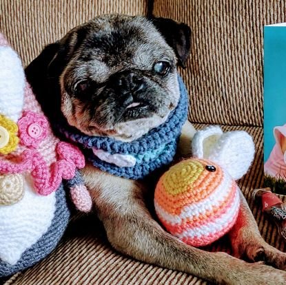 Angel Mushu😇🌈, Zinny🖤, Winny💓, Lucy