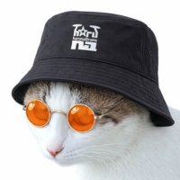 epιpυ🐈💦ﾆｬｰ🥁ﾄﾞﾄﾞﾄﾞﾄﾞﾄﾞﾄﾞ