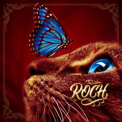 Historia que nadie te contó 📜