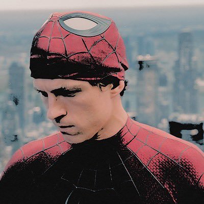 ˙⋆✮ 𝑺𝒑𝒊𝒅𝒆𝒓-𝑴𝒂𝒏