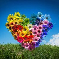 James Glandon, Jr. Ⓥ (jamesglandonjr.bsky.social)