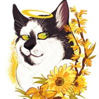 doctorzombie27 (semi hiatus)