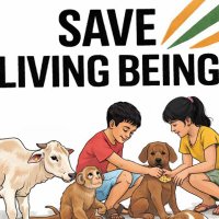 Aawara Nahi Hamara Hai