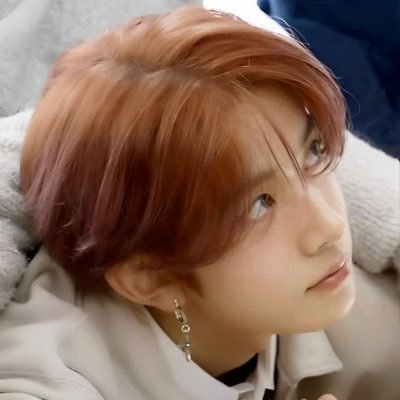 Blueberry🫐 ENHYPEN IS 7