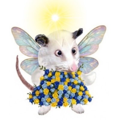 Fairyfortressfellina, Jr.