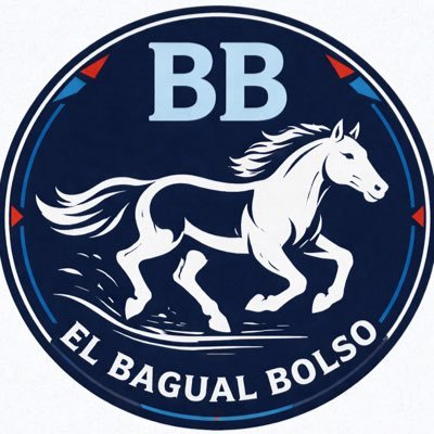 El Bagual bolso