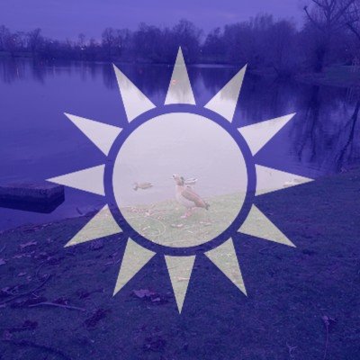 NGO Chad 🍵👁🦧🌐🏳️‍🌈🏳️‍⚧️