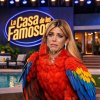 LLOriana Fulana Guacamaya🦜