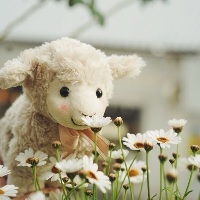 Frankie Scaffolding Manufactory