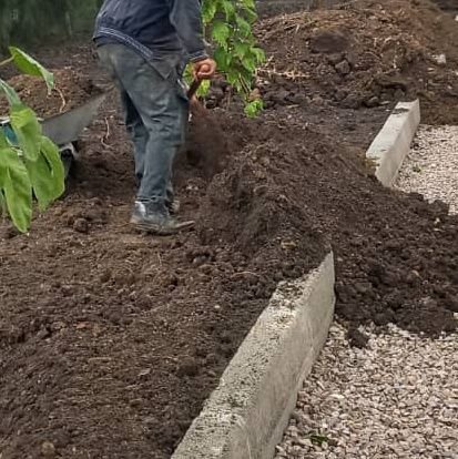 سلمان توفيق