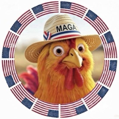 TXPat Chic 🇺🇸⭐️🇺🇸