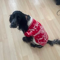 Nick 🏴󠁧󠁢󠁥󠁮󠁧󠁿