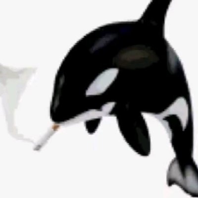 🜏 Maria Oestrogel 🏳️‍⚧️