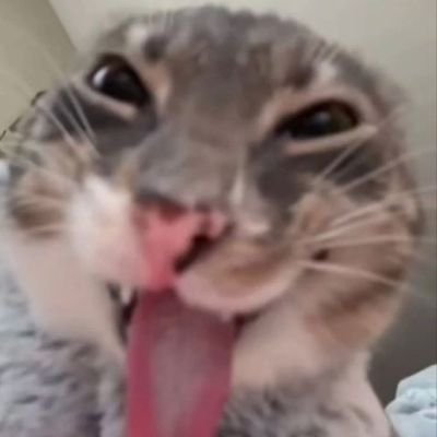 𝓼𝓪 ⊹ ۪ 𖥔 ˑ ִ ۫ ˑ #٢١٣١