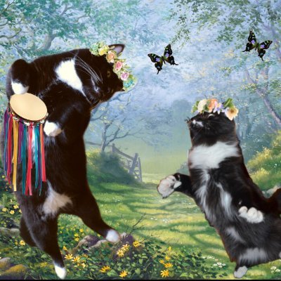 dj heri babie, Mr. Wuggums & The #Xanawu Cats