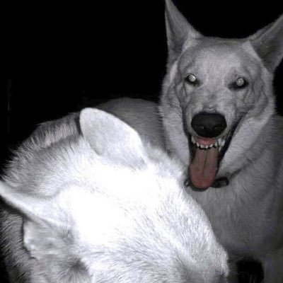 Deor Hood Martin International