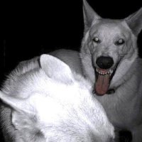 Deor Hood Martin International