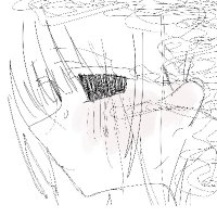 trigger 🏳️‍⚧️🇲🇦