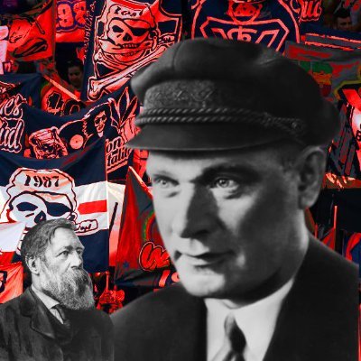 Camarade223🚩🇫🇷🇮🇪