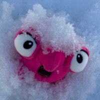 Nia the Chinchilla and Bakugan fan  alt account