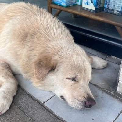 แวไบ้ขอกึง