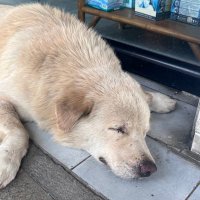 แวไบ้ขอกึง