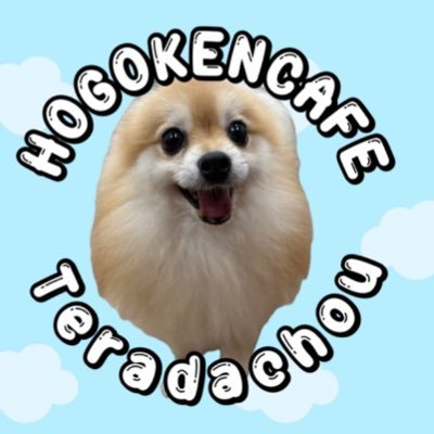 保護犬カフェ®︎寺田町店(ラブファイブ)