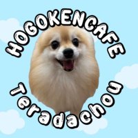 保護犬カフェ®︎寺田町店(ラブファイブ)