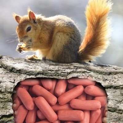 🖤🐿️Turbo Skwurl 🐿️🖤